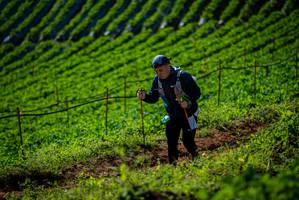 BIB: 
                            <button type="button" onclick="openModal(19161136)" class="btn btn-primary btn-sm float-right btn-popup" data-toggle="modal" data-target=".modal-high-quality">
                        <i class="fas fa-shopping-cart"></i> Add to Cart
                    </button>
                                            <button type="button" onclick="isThisMe(19161136, true)" class="btn btn-success btn-sm float-right btn-popup btn-isme hidden" data-toggle="tooltip" data-placement="bottom" title="นี่คือรูปของคุณใช่ไหม คลิกที่นี่เพื่อเอาเข้าอัลบั้ม">
                        <i class="fas fa-plus"></i> Add to album
                    </button>
                    <button type="button" onclick="isThisMe(19161136, false)" class="btn btn-warning btn-sm float-right btn-popup btn-isnotme hidden">
                        <i class="fas fa-ban"></i> Remove from album
                    </button>